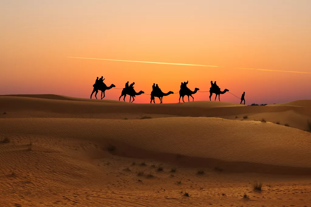shutterstock 1314695552