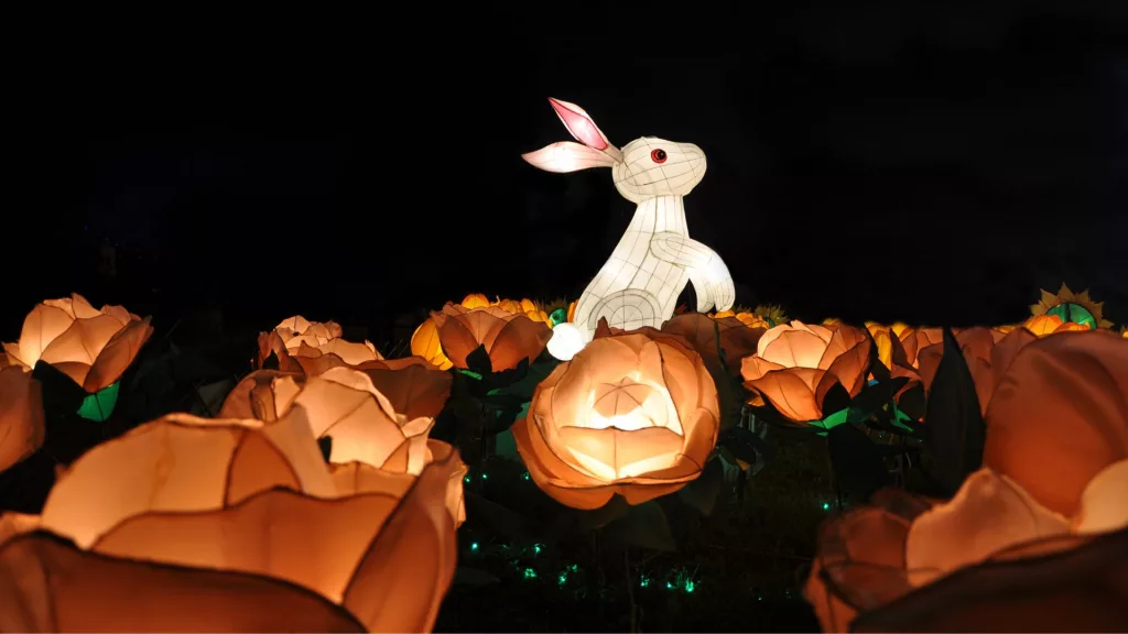 Mid Autumn Festival - Year of the Rabbit