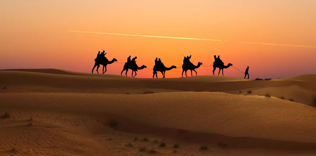 Camel,Caravan,With,Tourists,At,Sunset,In,Arabian,Dessert